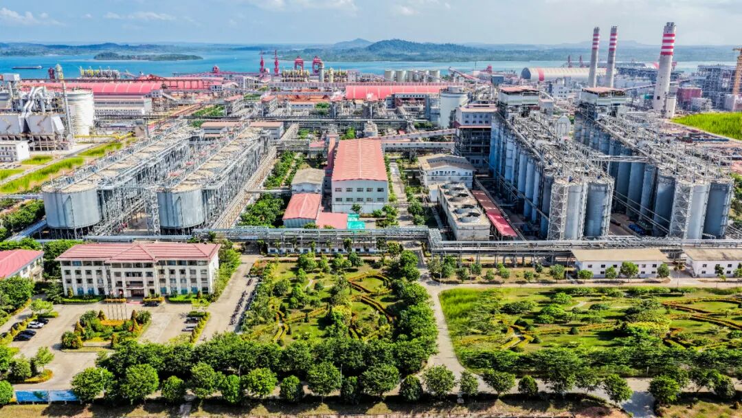 1779145379782907.jpg 640 (2).jpg